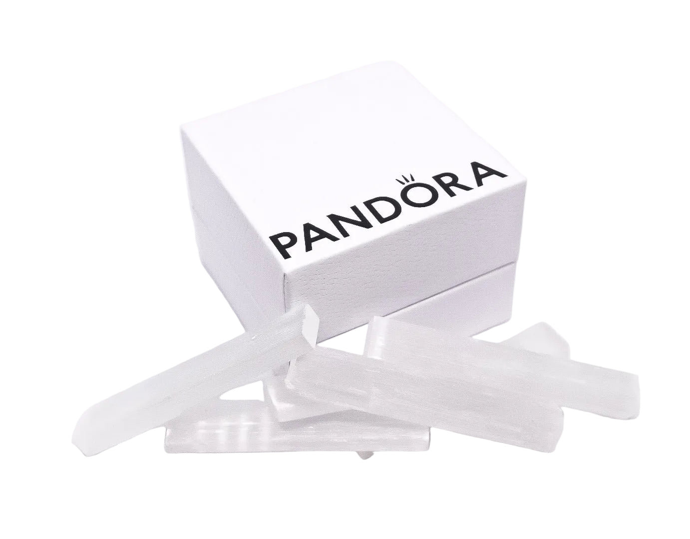 PANDORA Scarab Medallion Charm